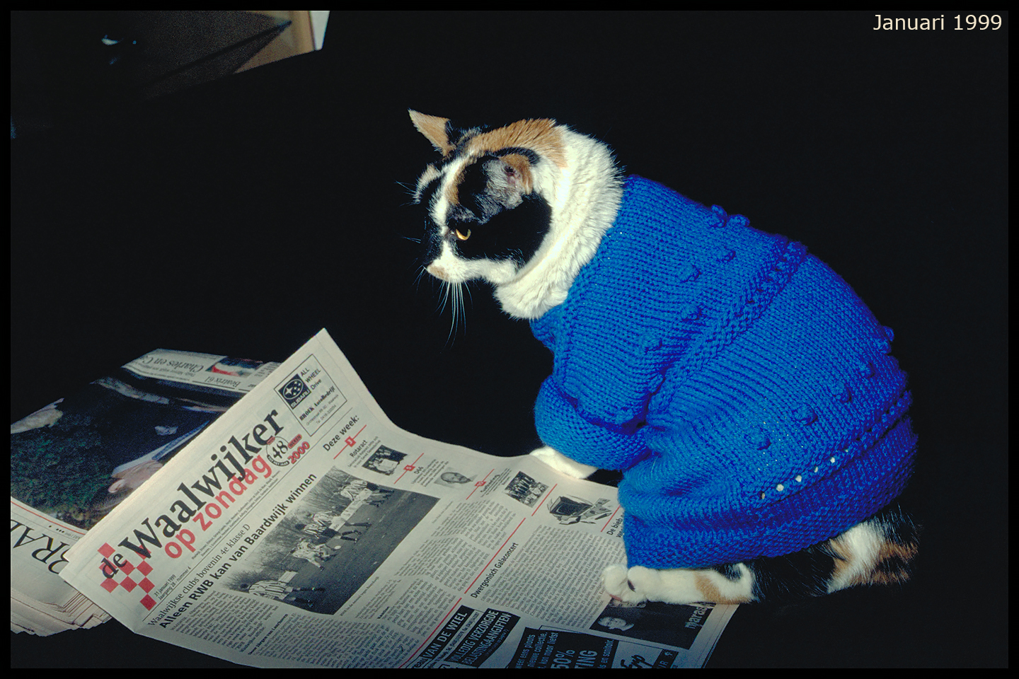 animals-012