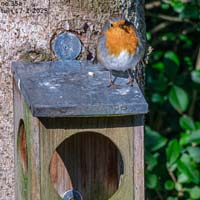 animals-032