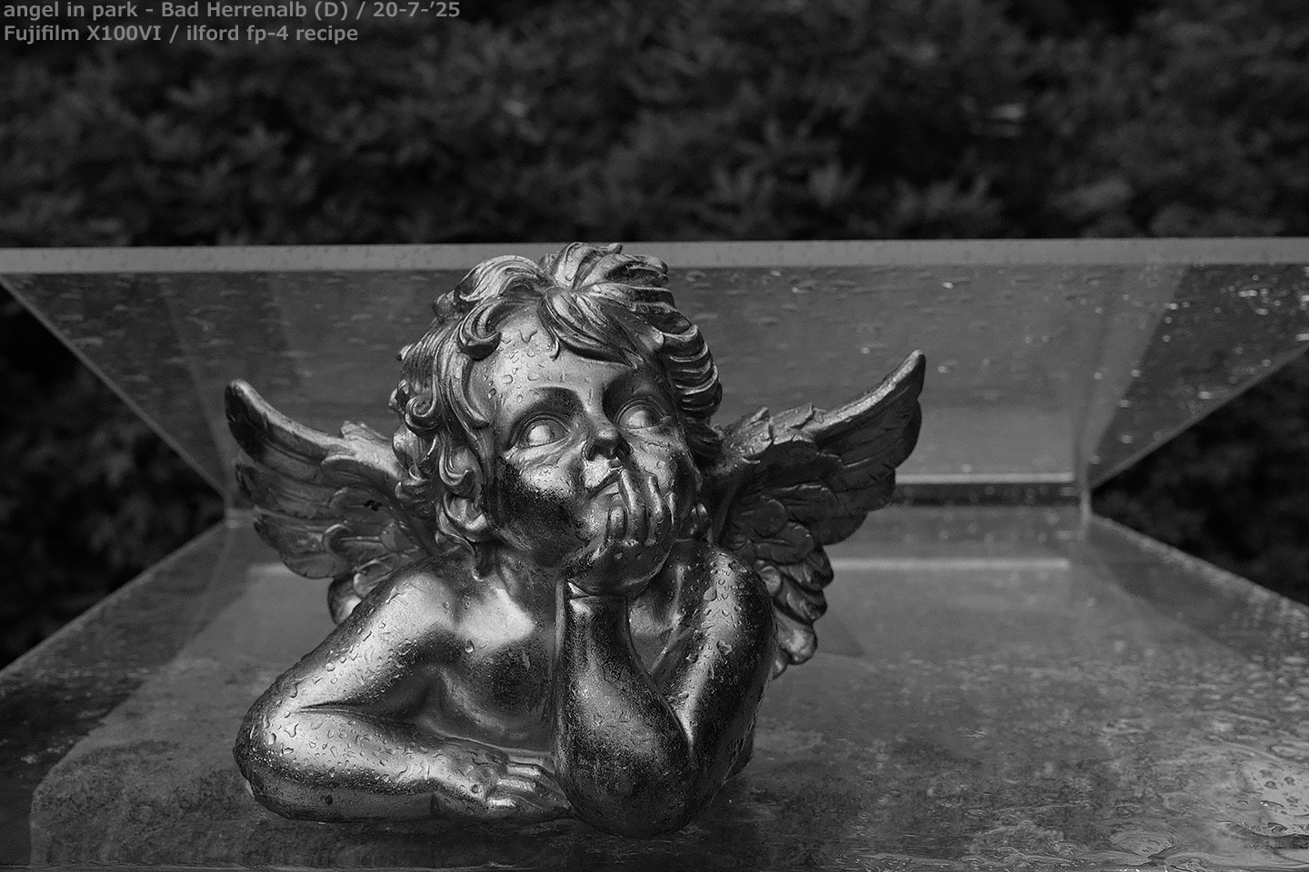 sooc_005