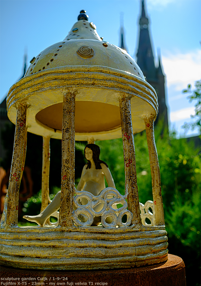 sooc_007