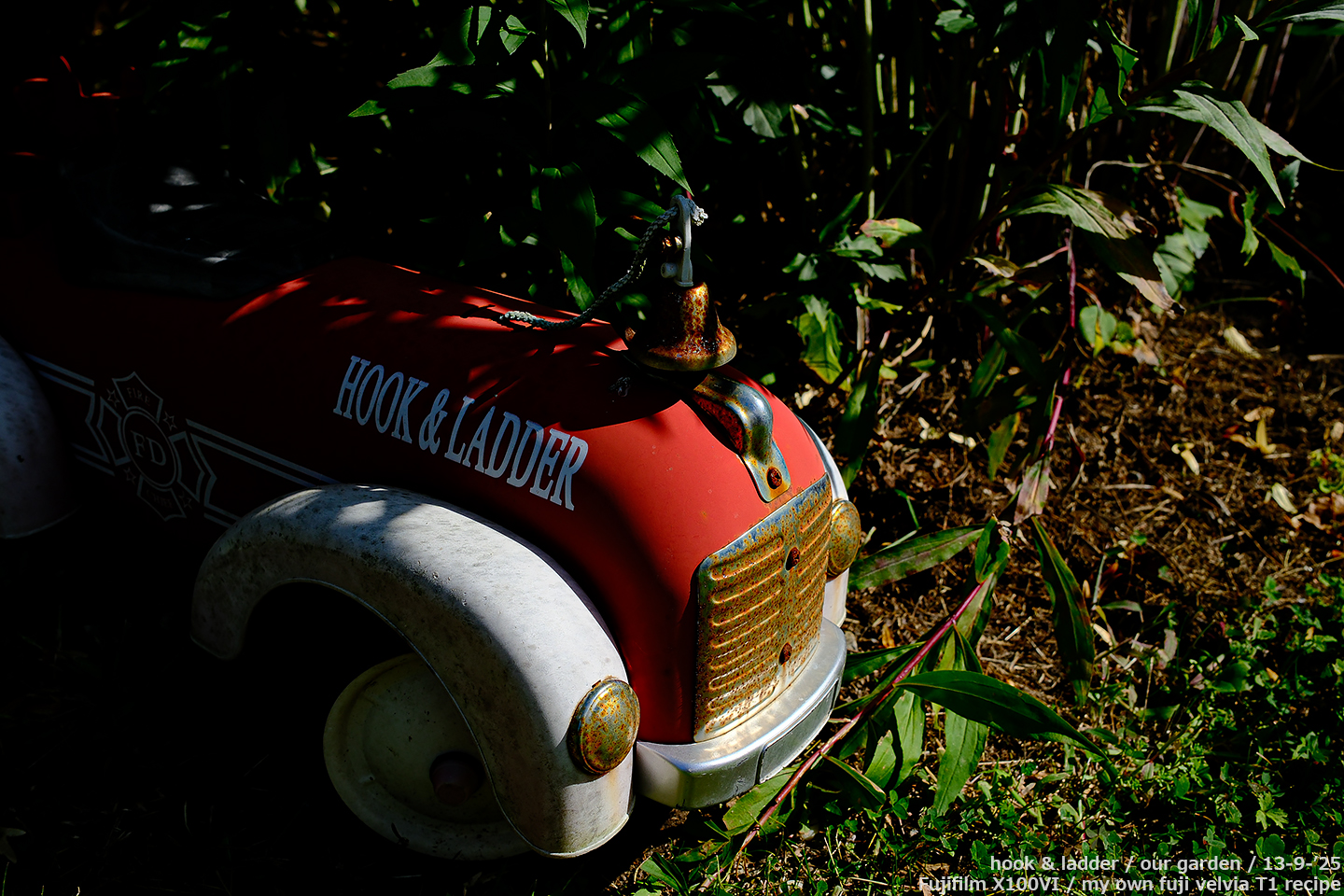 sooc_029